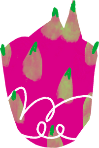 Textured Imperfect Handdrawn Dragon Fruit