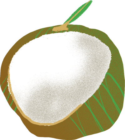 Textured Imperfect Handdrawn Coconut